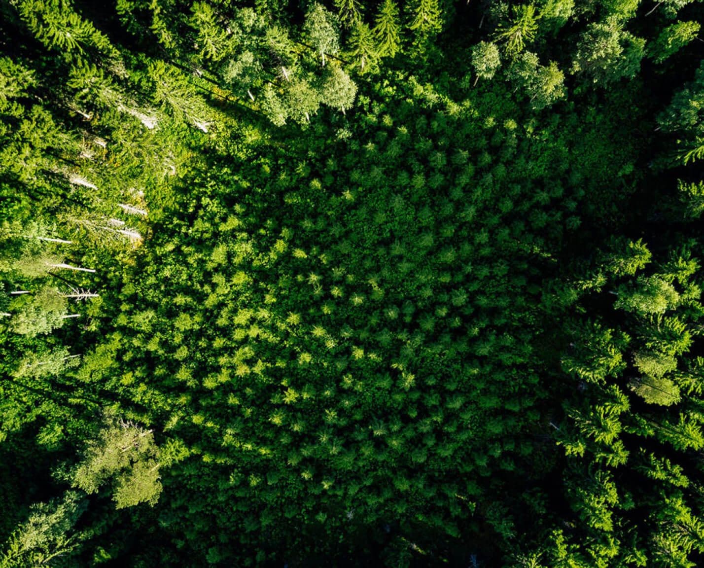 Sürdürülebilirlik